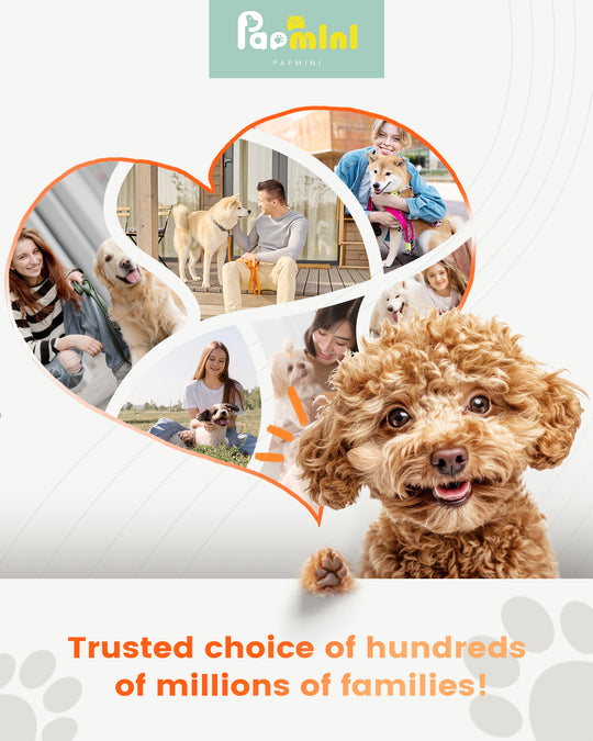 PAPMNI Cordless LED Dog Paw Trimmer - Quilted White